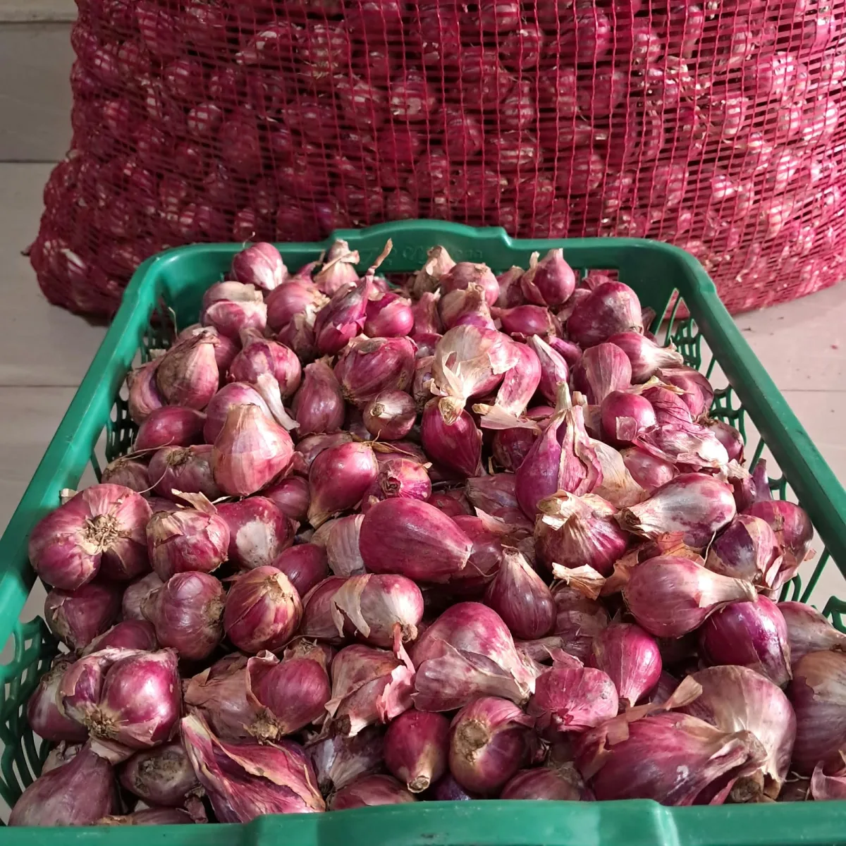 Bawang Merah - Brebes 1/2 Kg